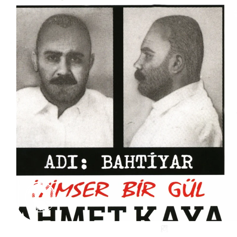 Gökyüzü