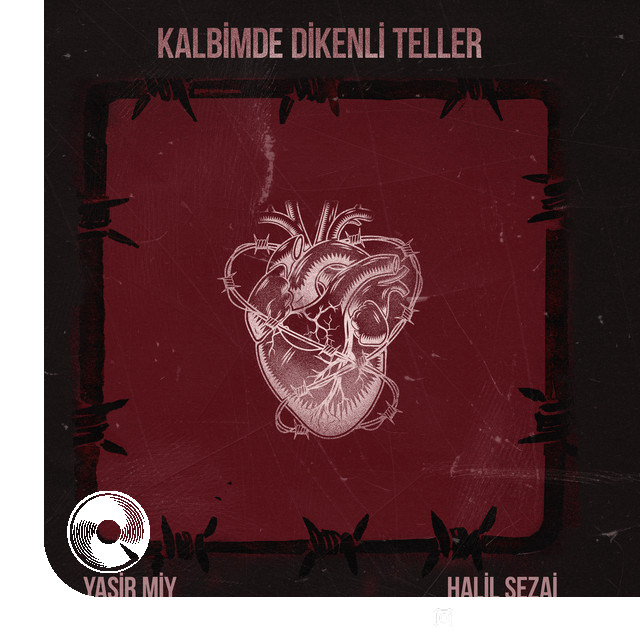 Kalbimde-Dikenli-Teller-Yasir-Miy