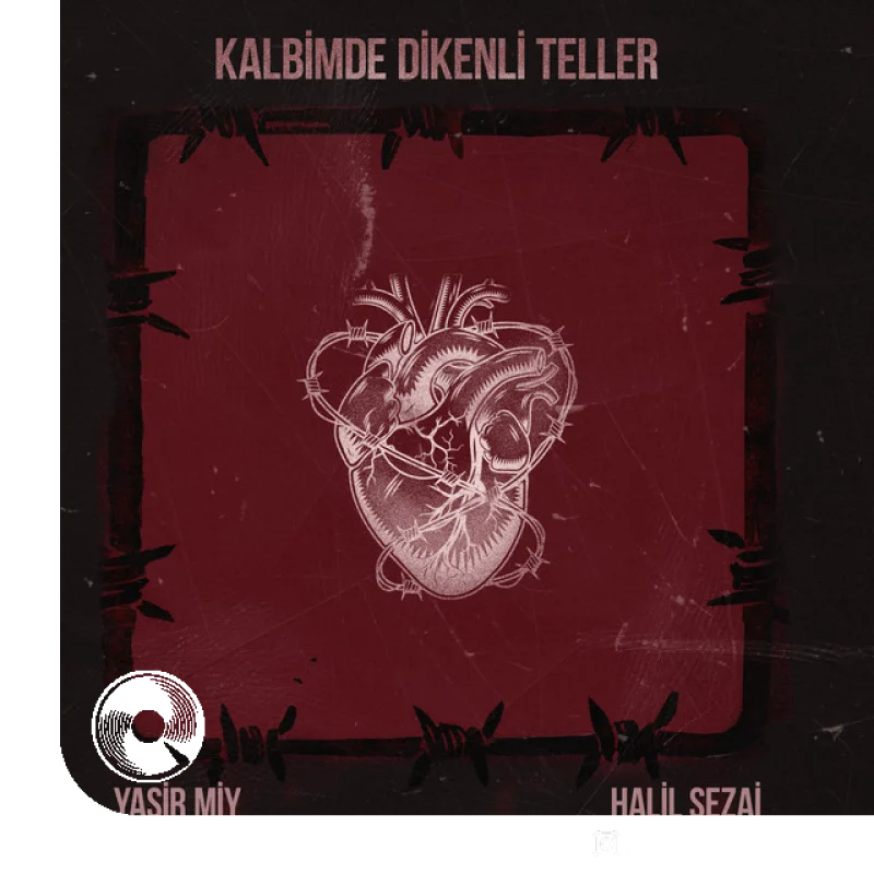 Kalbimde Dikenli Teller Yasir Miy