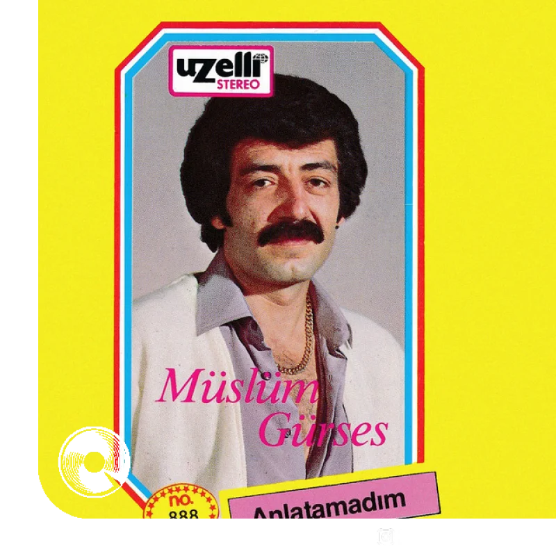 Yaşamaya Çalıştım