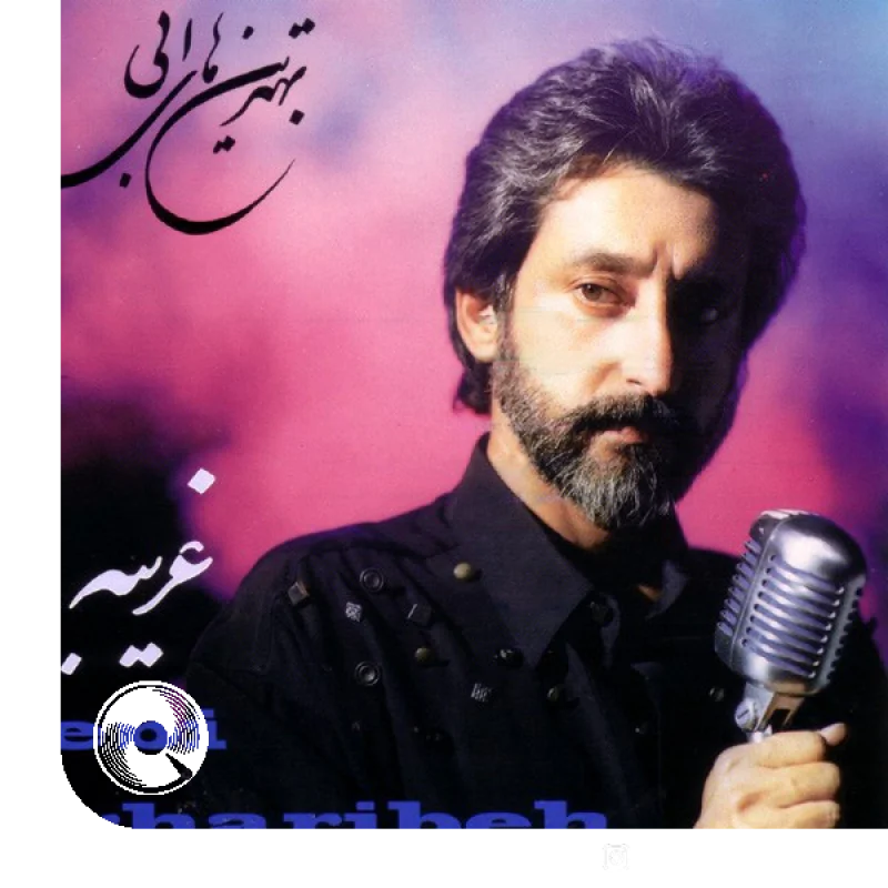 آهنگ  غریبه از  ابی
