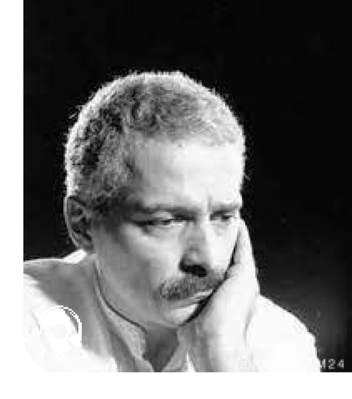 بانوی گیسو حنا