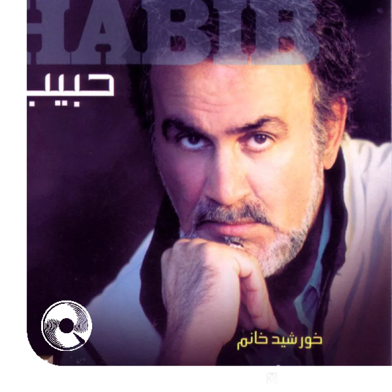 مرد تنهای شب