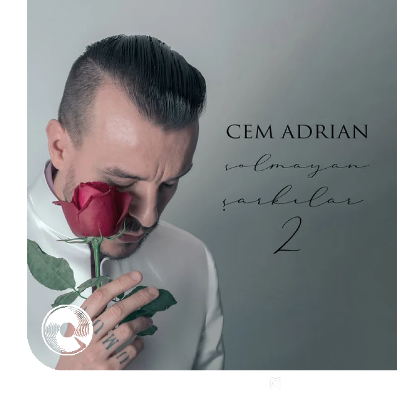 Şimdi Uzaklardasın