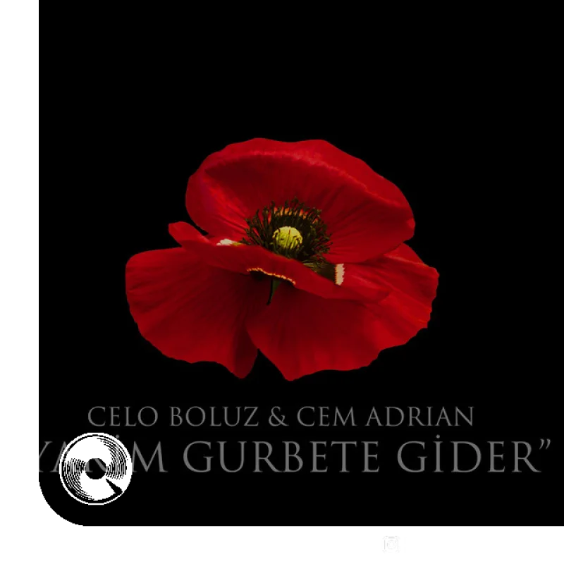 Yarim Gurbete Gider Celo Boluz