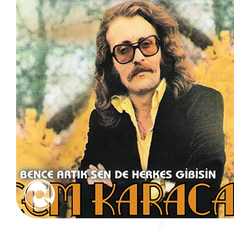 Beni Siz Delirttiniz