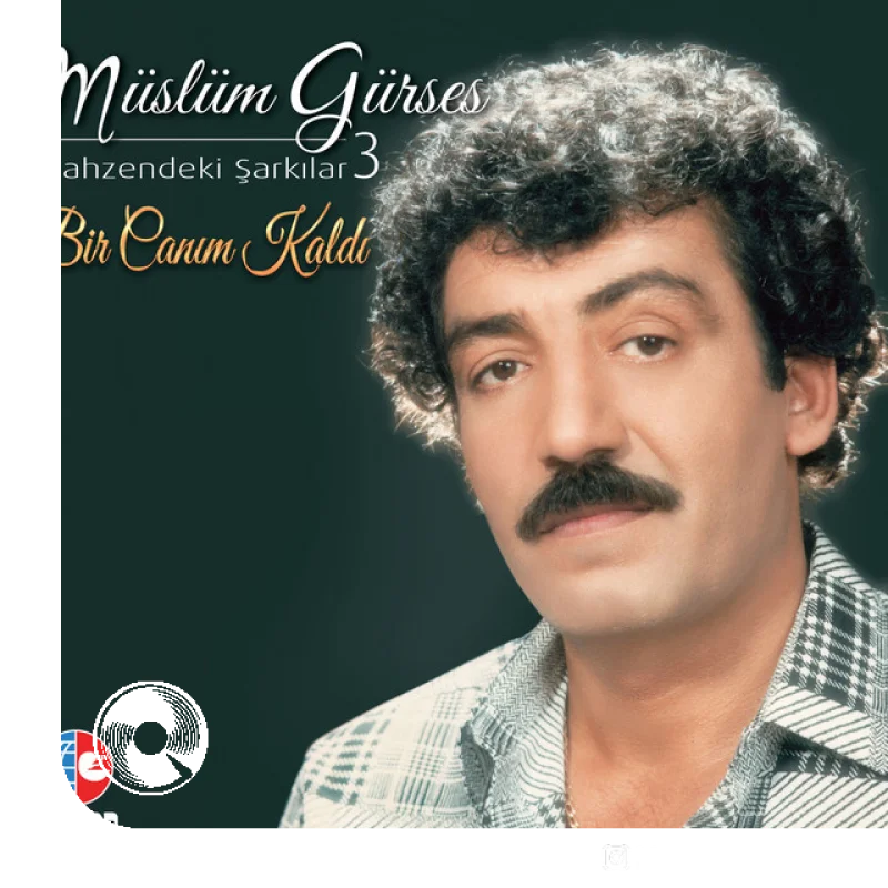 Bir Canım Kaldı Mahzendeki Şarkılar 3
