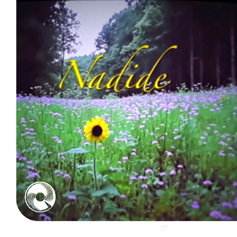 آهنگ  Nadide از  رینمن