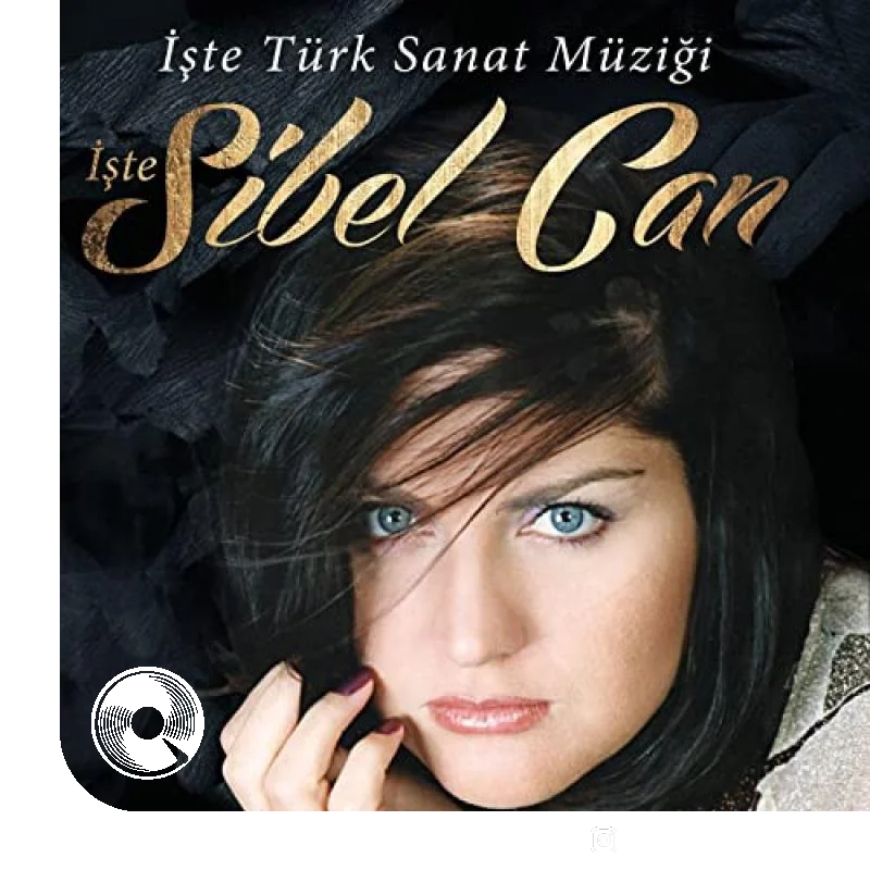 Sevmekten Kim Usanir