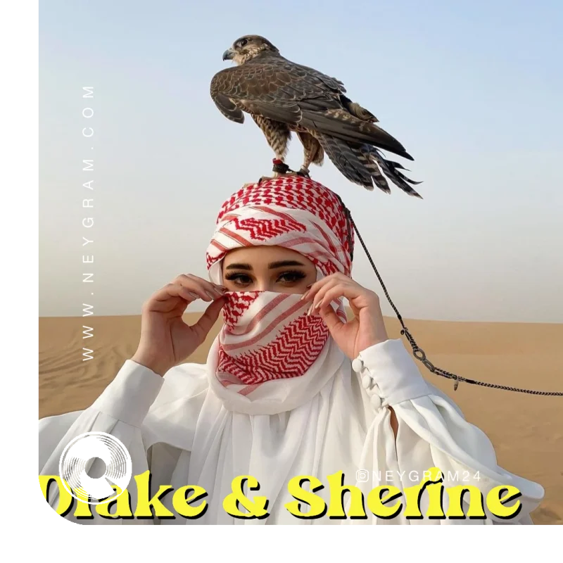 Mashup Hotline Bling x Eih Eih Drake