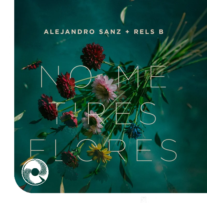 No me tires flores Rels B
