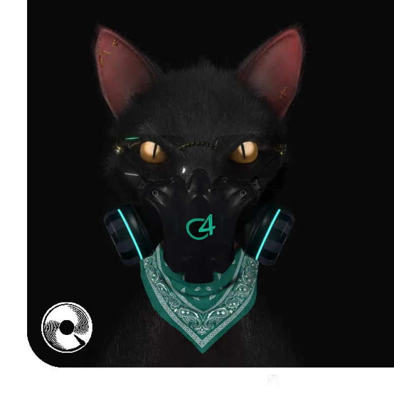 Gato de Noche Ñengo Flow,