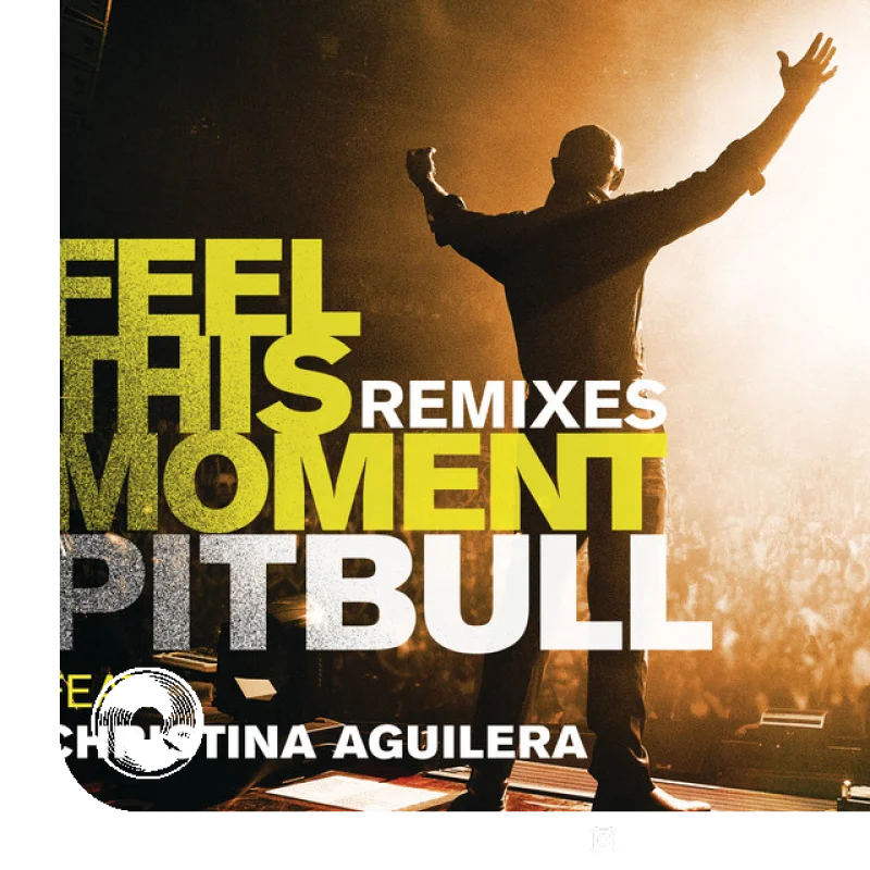 Feel This Moment feat Jump Smokers Radio Mix Pitbull