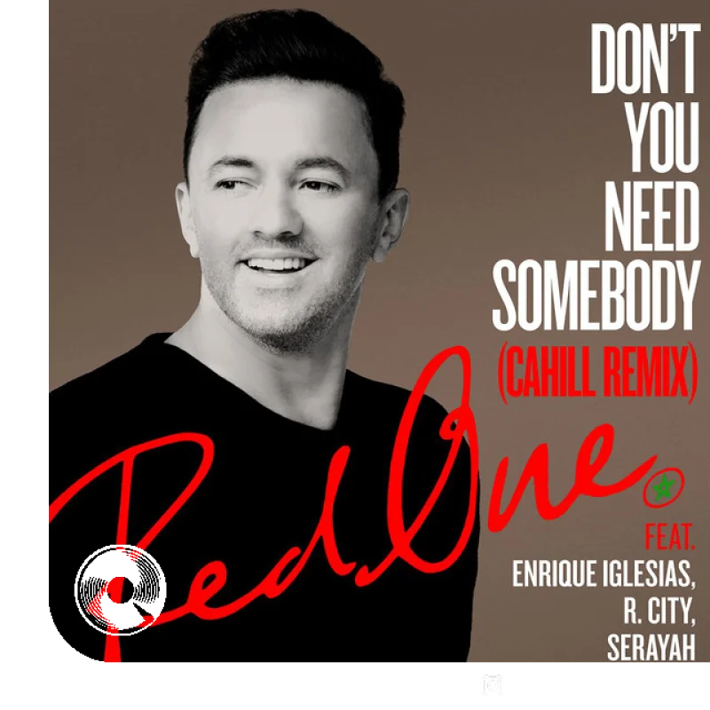 Dont You Need Somebody feat R City Serayah Shaggy Cahill Remix RedOne