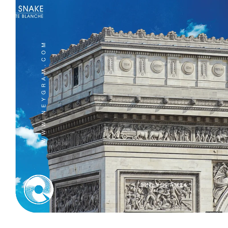 Loco Contigo DJ Snake