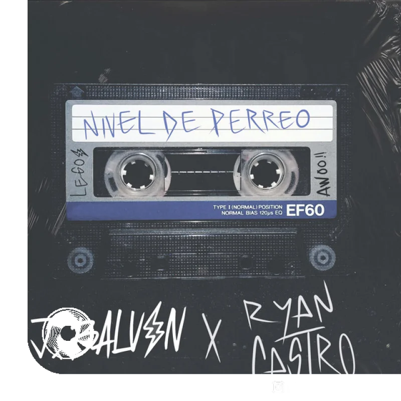 Nivel De Perreo Ryan Castro