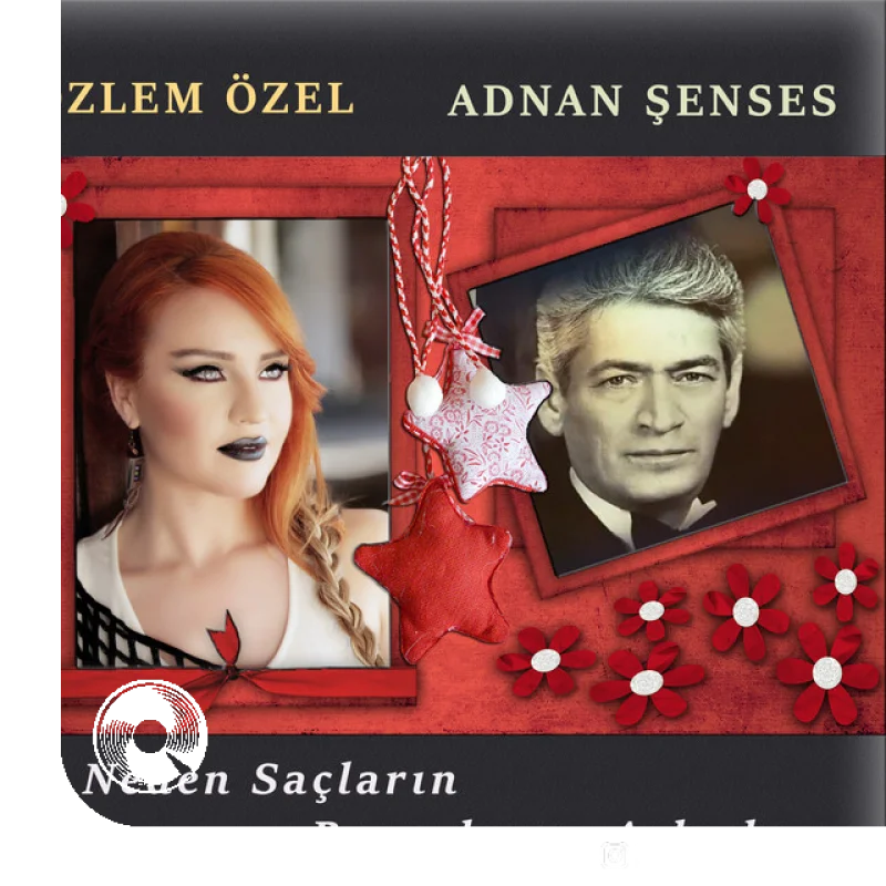 Neden Saçların Beyazlamış Arkadaş Özlem Özel
